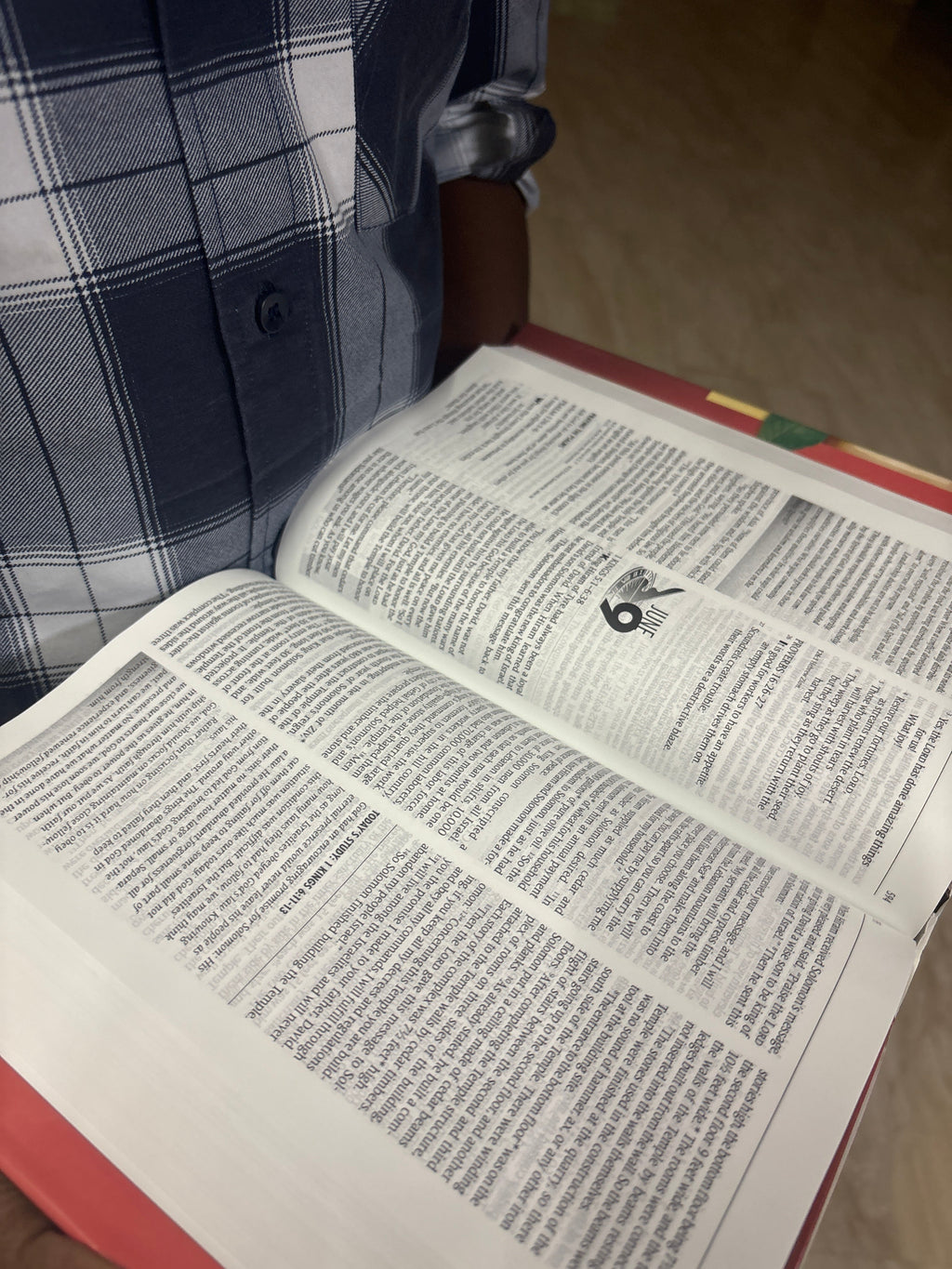 The One Year Study Bible NLT Hardcover–