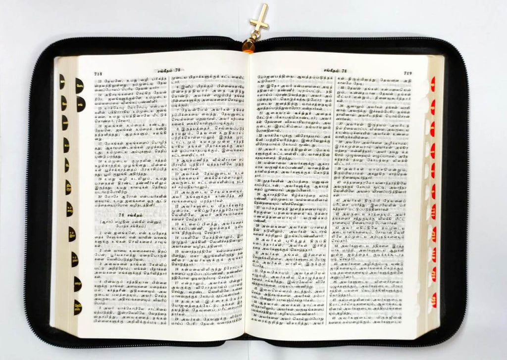 Tamil Bible, Zippered Edition with Index, Demi Size (ISBN: 9788122100280)