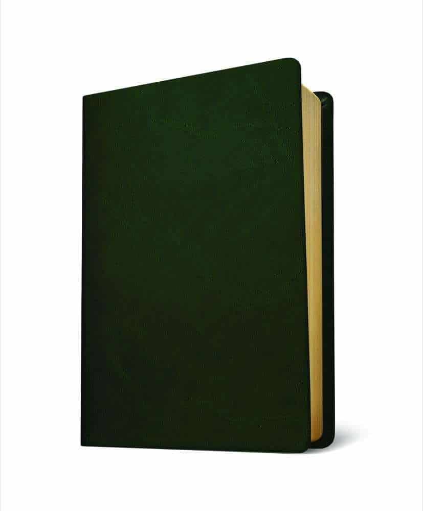 NRSV Baylor Annotated Study Bible, Deluxe Green & Gold Edition, Edited by W. H. Bellinger Jr. and Todd D. Still