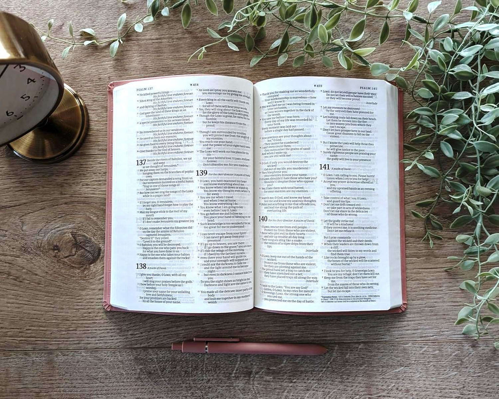 NLT Premium Value Thinline Bible: Dusty Pink Vines Leather-Like Cover (ISBN: 978196484789)