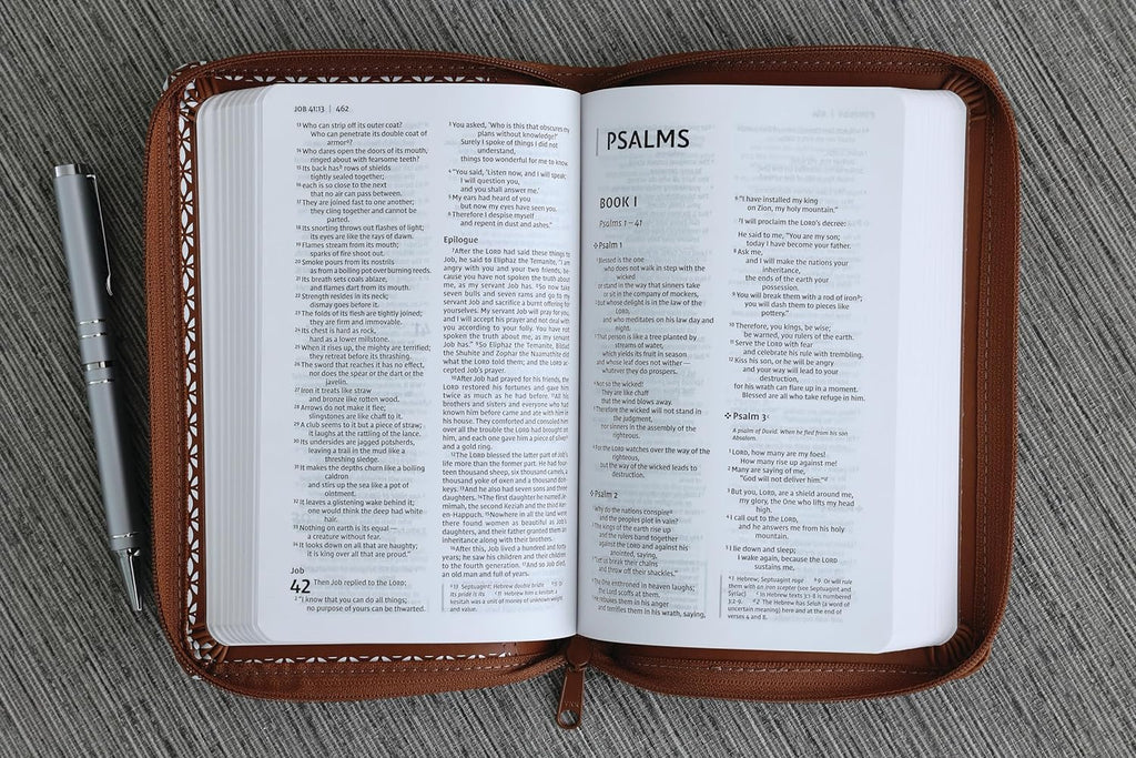 NIV Thinline Red Letter Comfort Print Imitation Leather Bible
