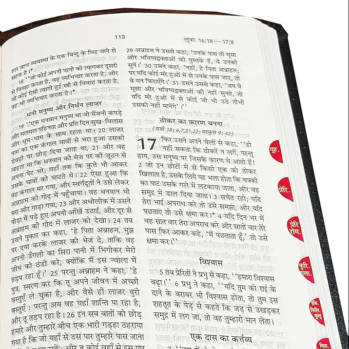 Limited Edition Hindi Bible Dy PU Light Brown with Thumb Index (TI) & Gilt Edges | Amity Edition | Classic Durable Devotional Bible