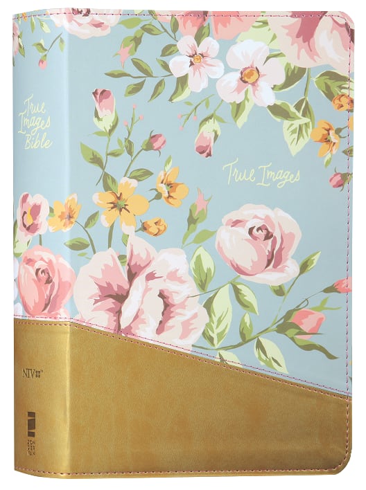 NIV True Images Bible for Teen Girls in Blue and Gold, Black Letter Edition
