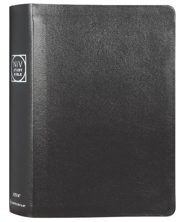 Large Print NIV Study Bible in Black with Red Letter Edition