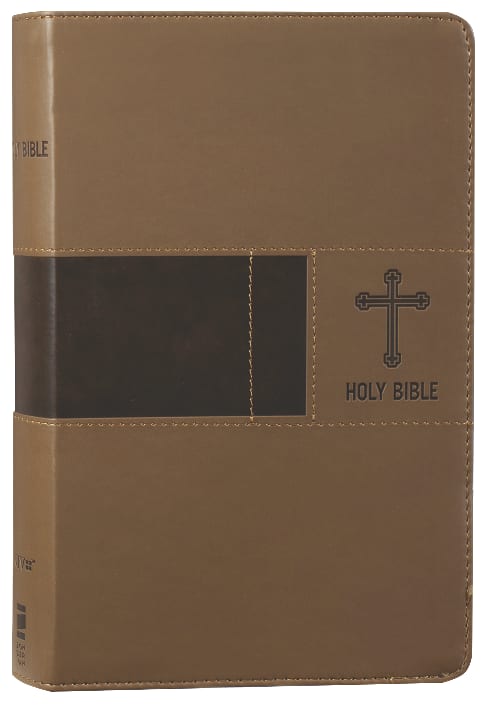 New International Version Bible in Red Letter Edition with a professional tone