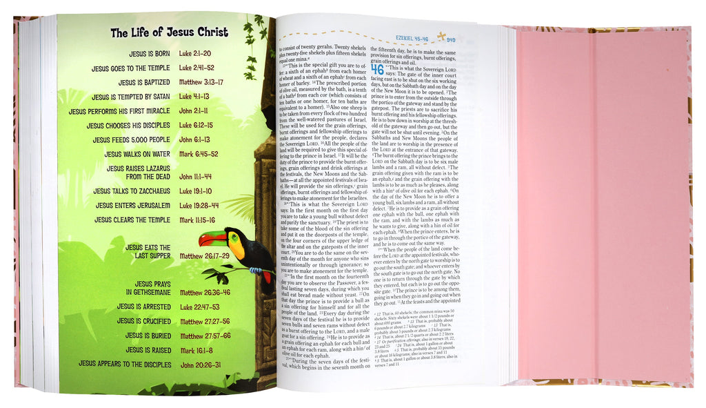 NIV Adventure Bible With Pink Magnetic Closure