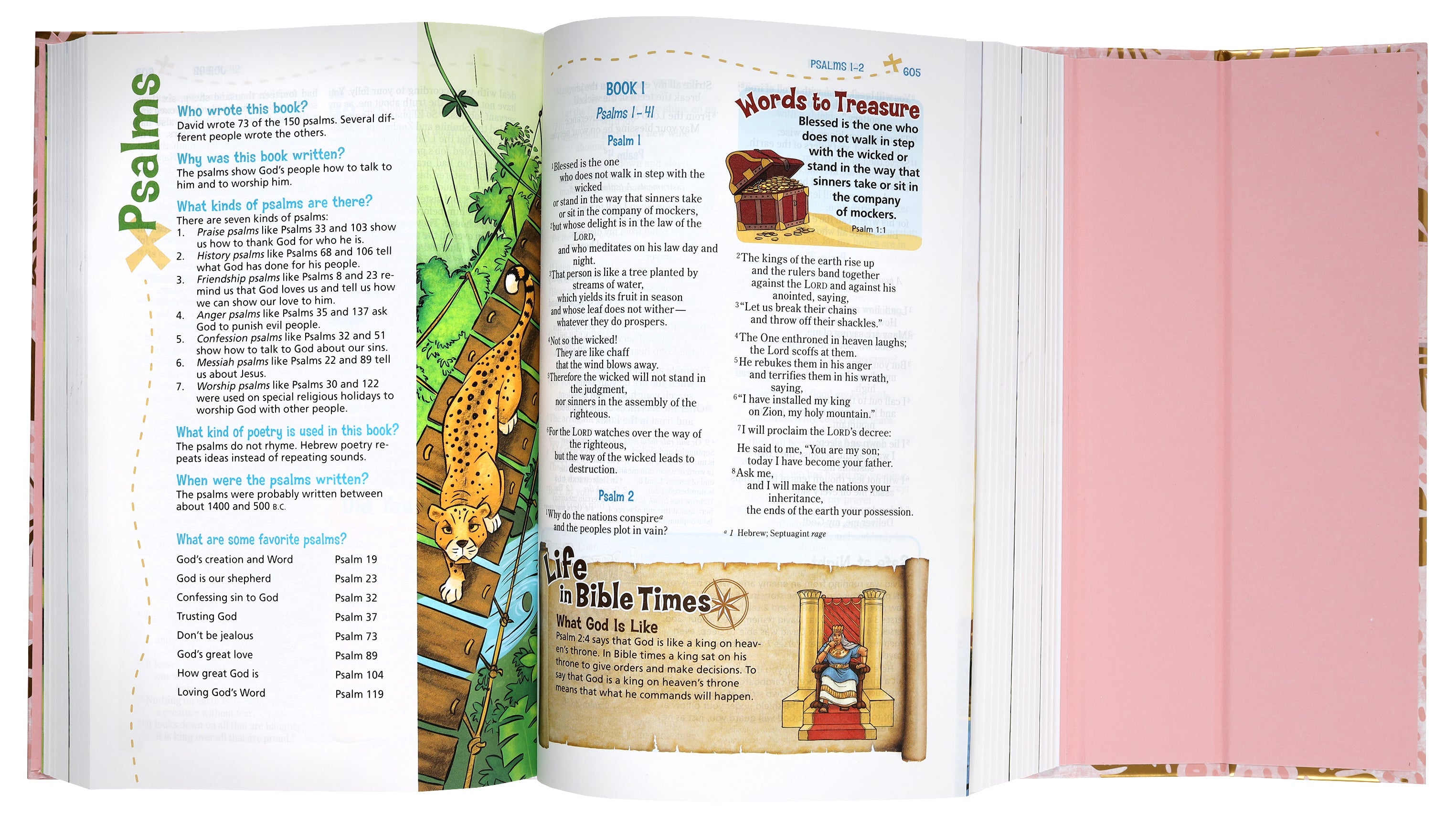 NIV Adventure Bible With Pink Magnetic Closure