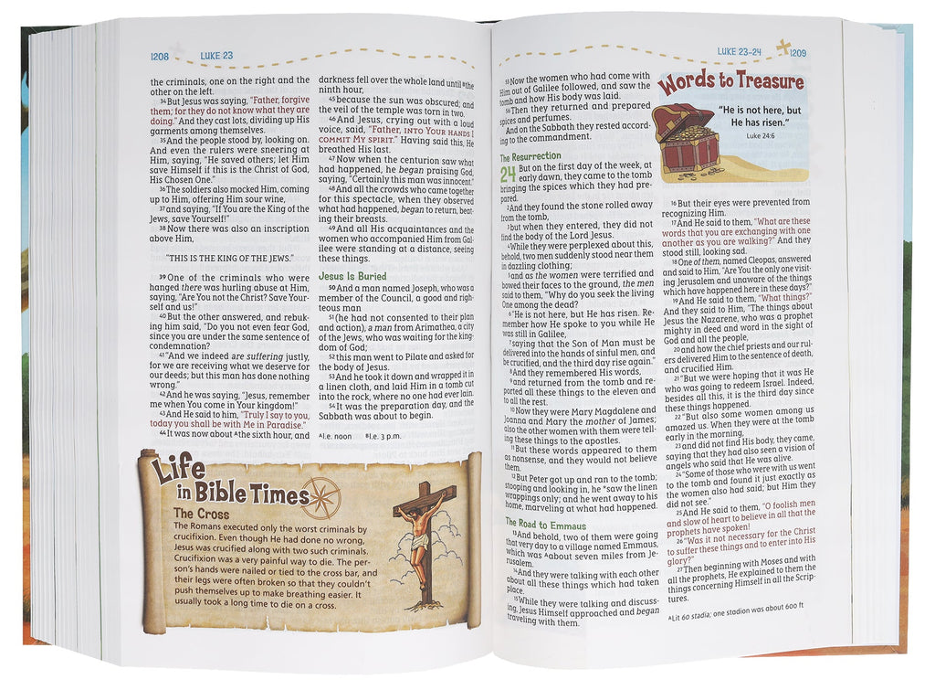 Adventure Bible for Kids, New International Version (NIV) Bible for children with colorful design