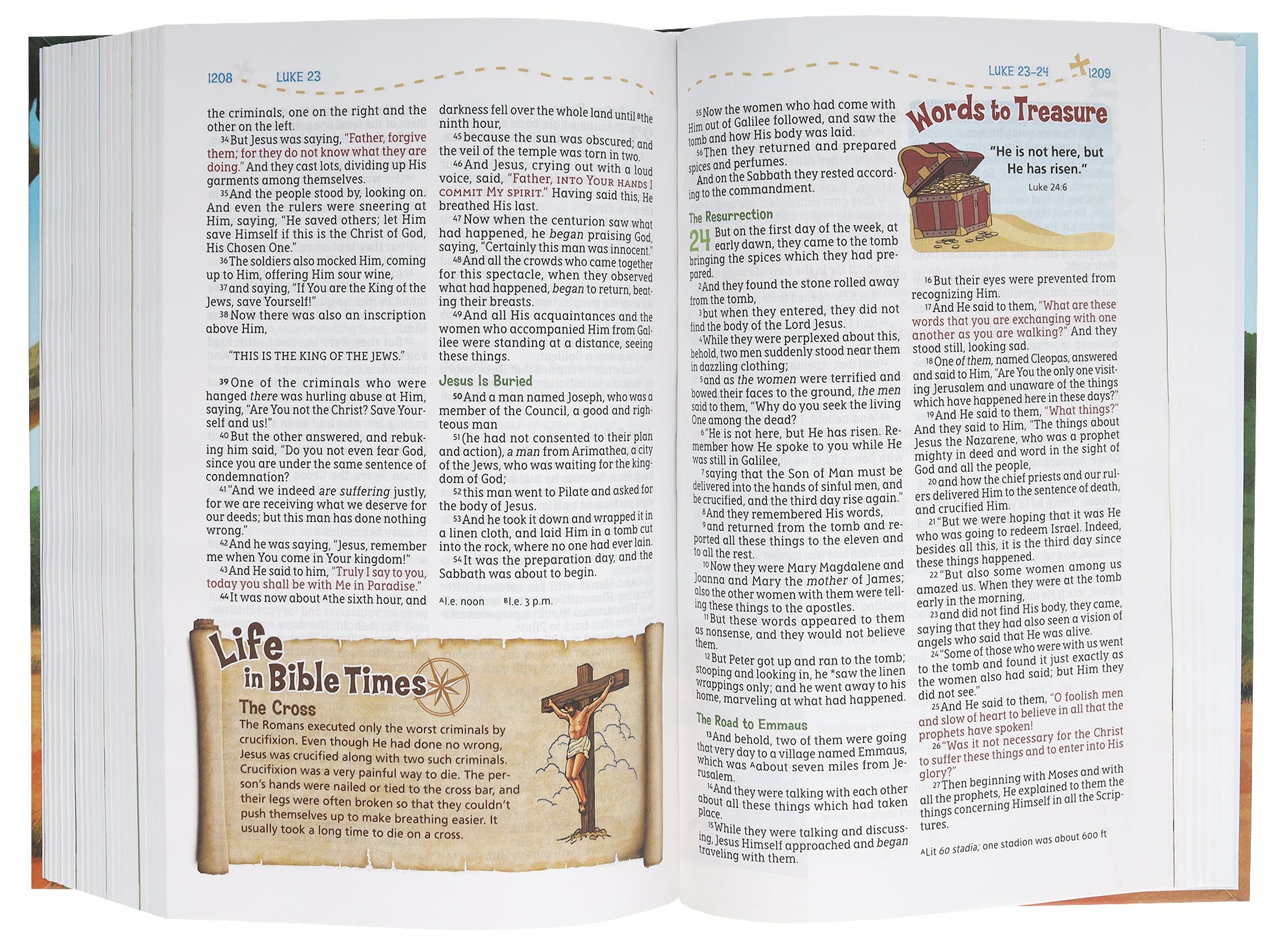 Adventure Bible for Kids, New International Version (NIV) Bible for children with colorful design