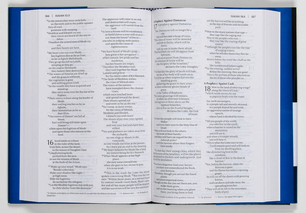 NIV Blue Value Pew and Worship Bible with Black Letter Edition details