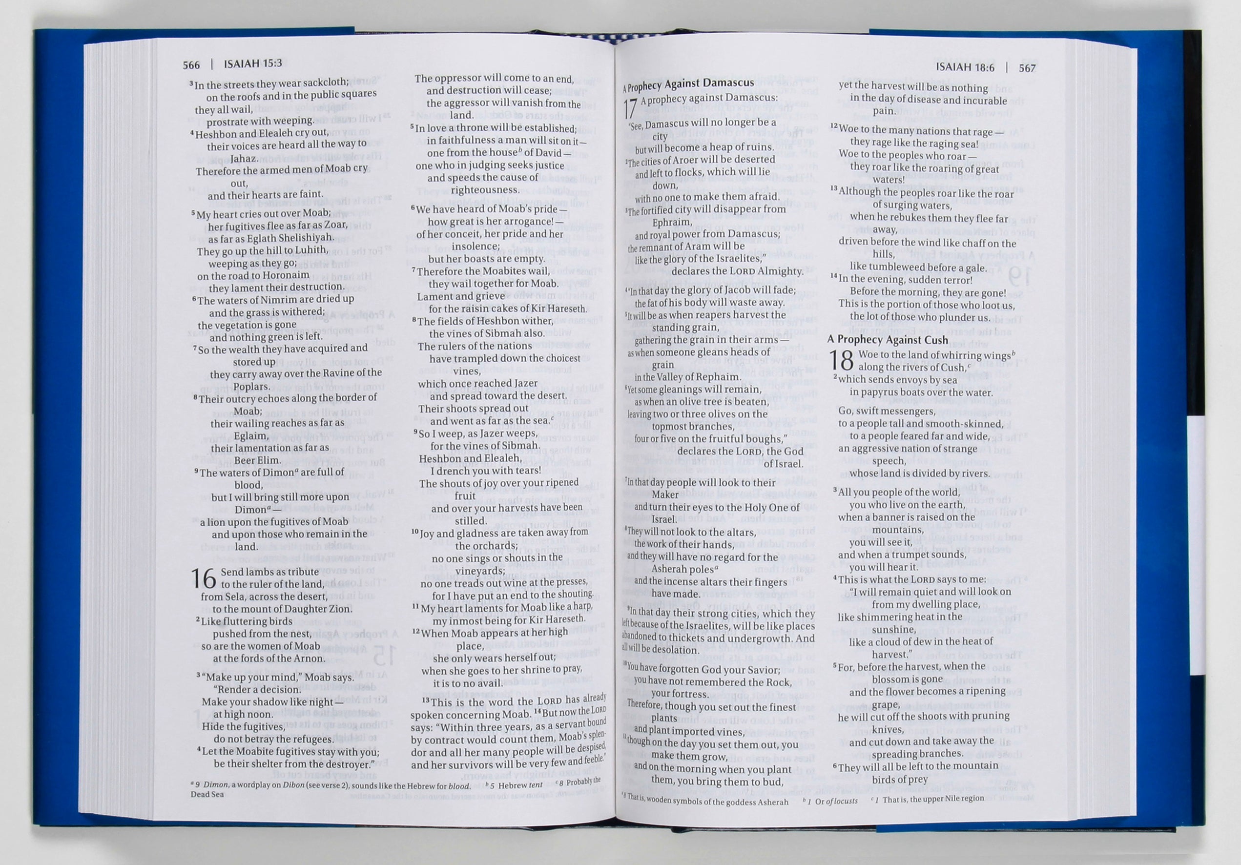 NIV Blue Value Pew and Worship Bible with Black Letter Edition details