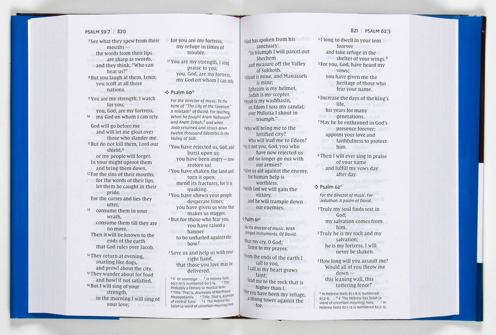 Large Print NIV Pew and Worship Bible, Black Letter Edition, opened to a page
