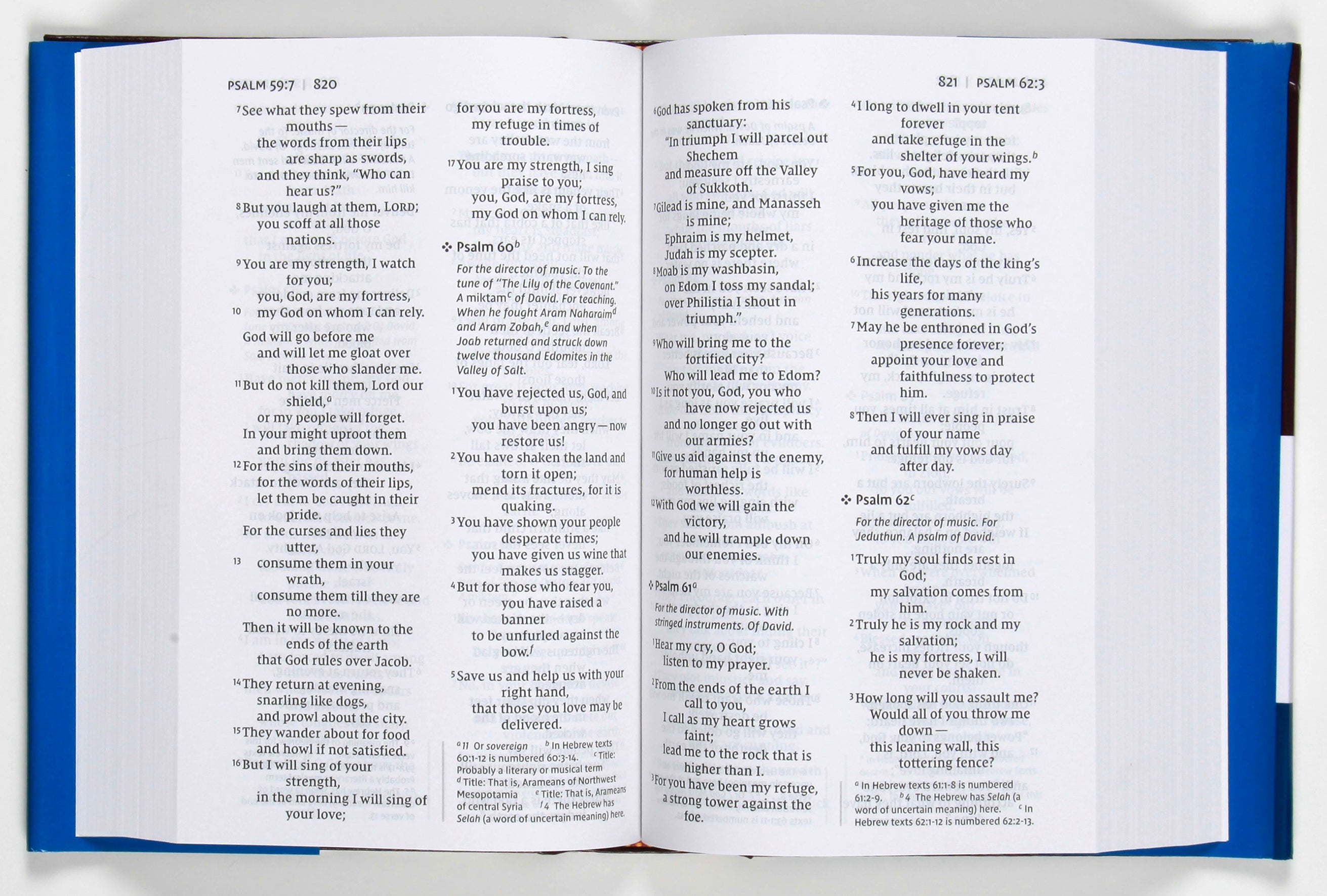 Large Print NIV Pew and Worship Bible, Black Letter Edition, opened to a page
