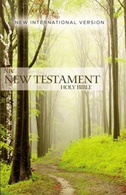 NIV Outreach New Testament, softcover edition