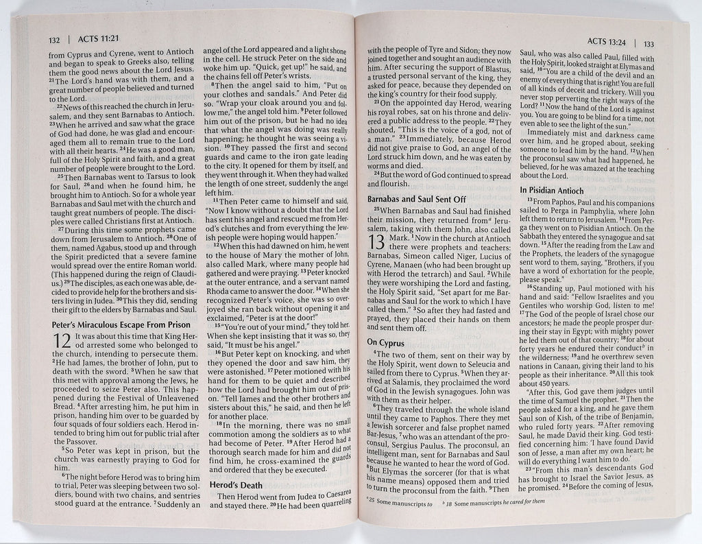 NIV Outreach New Testament Large Print Orange Cross (Black Letter Edition)