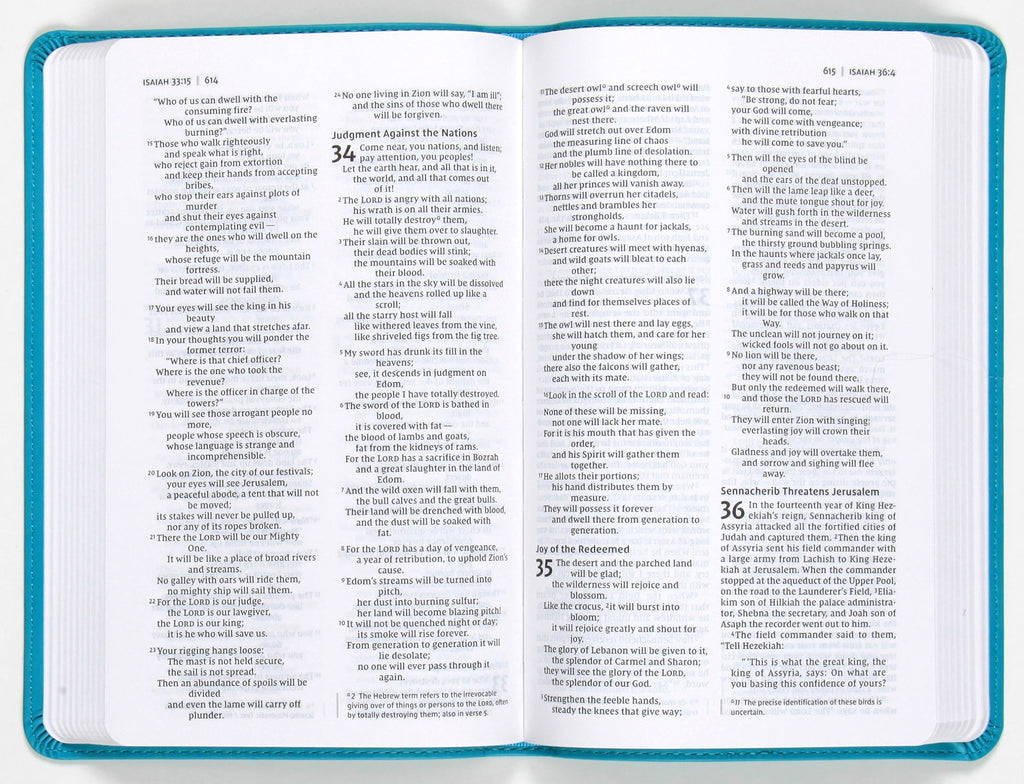 NIV Value Thinline Bible, Black Letter Edition
