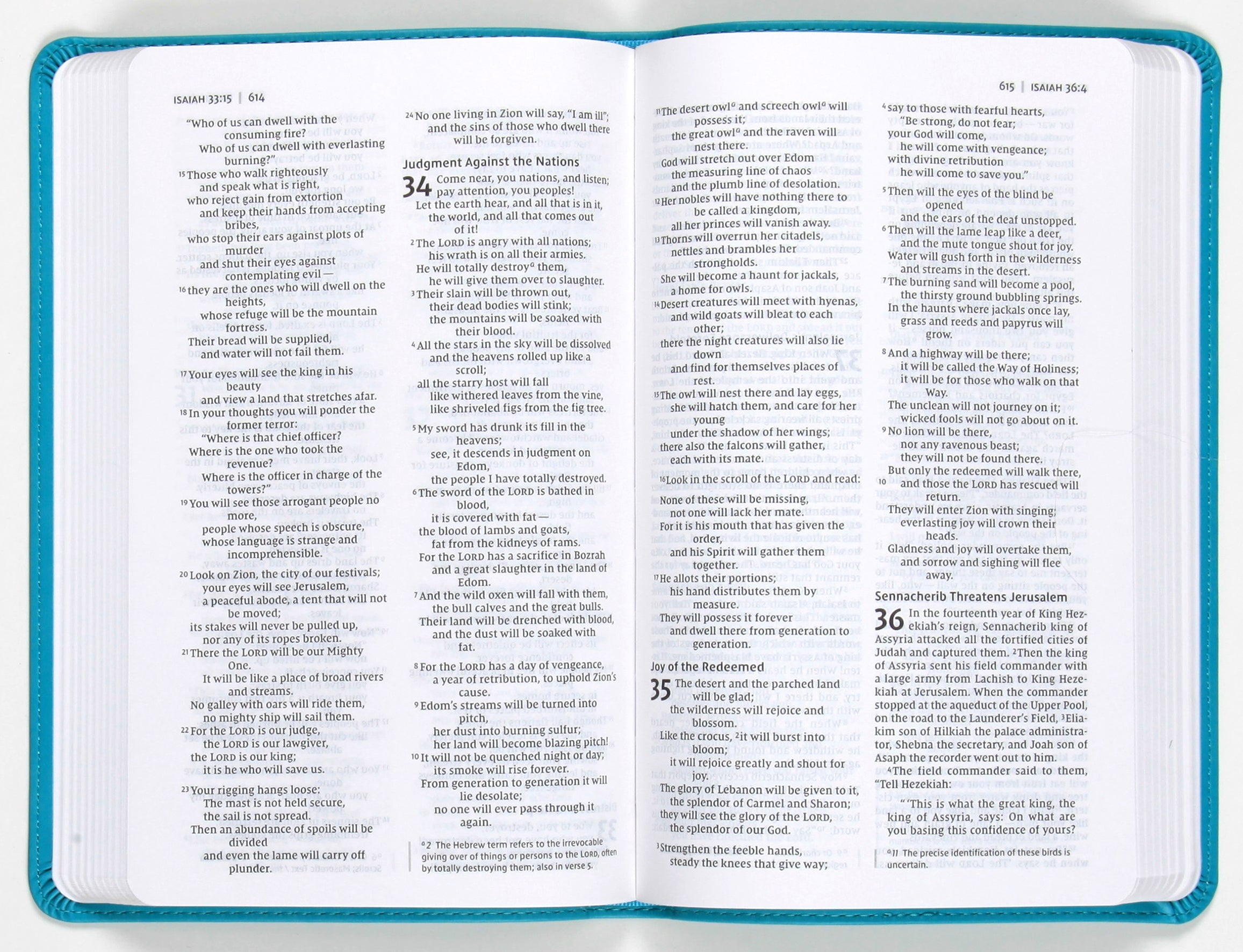 NIV Value Thinline Bible, Black Letter Edition