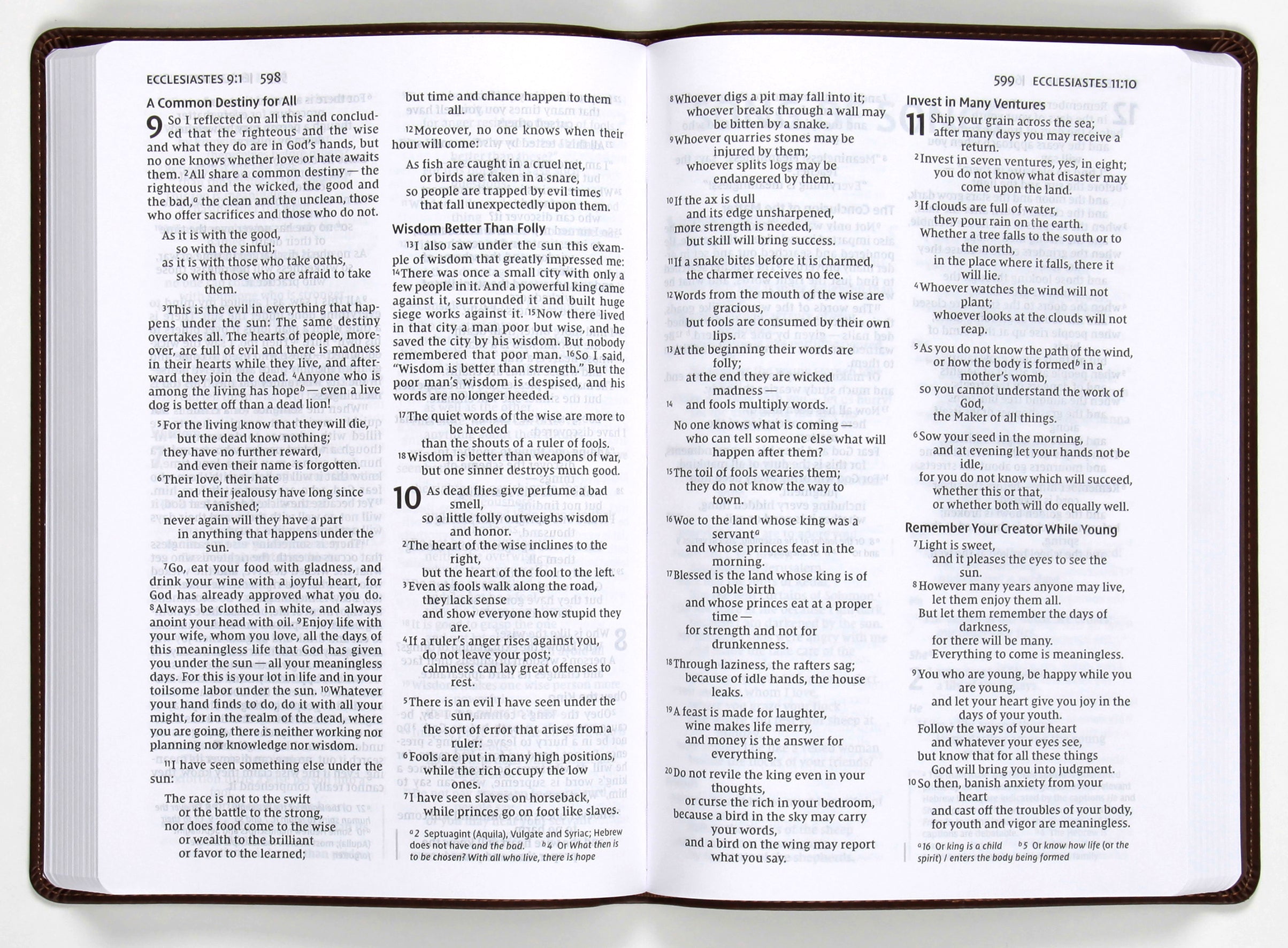 NIV Value Thinline Bible Large Print Brown (Black Letter Edition)