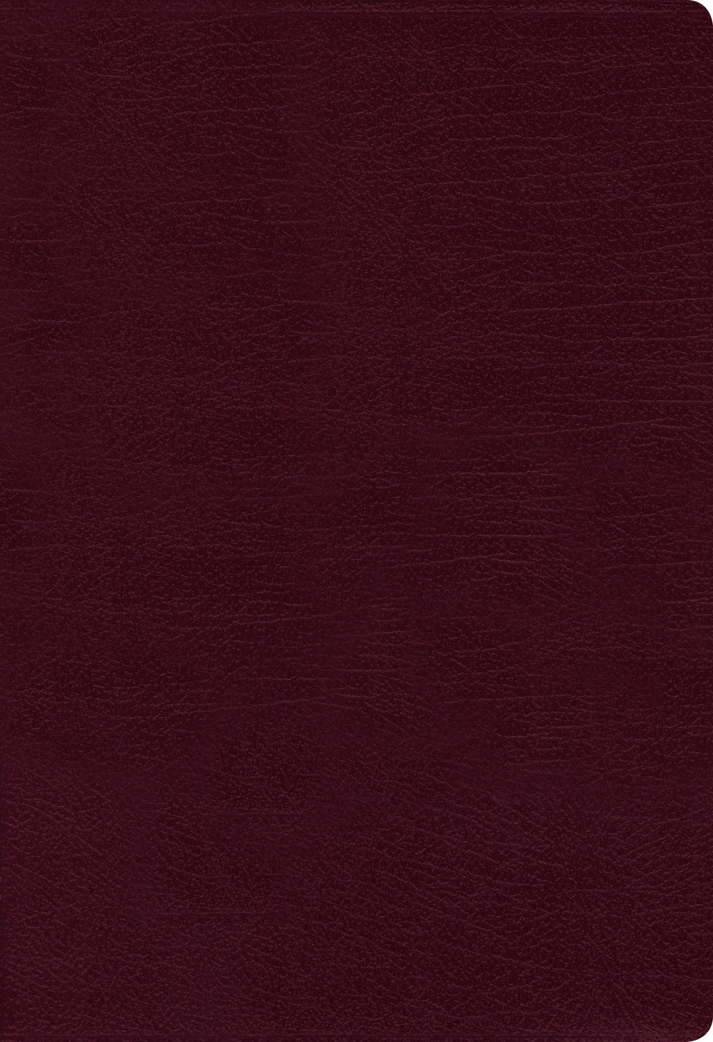 NIV Thinline Bible with red letter text, burgundy leather binding, trusted Bible translation