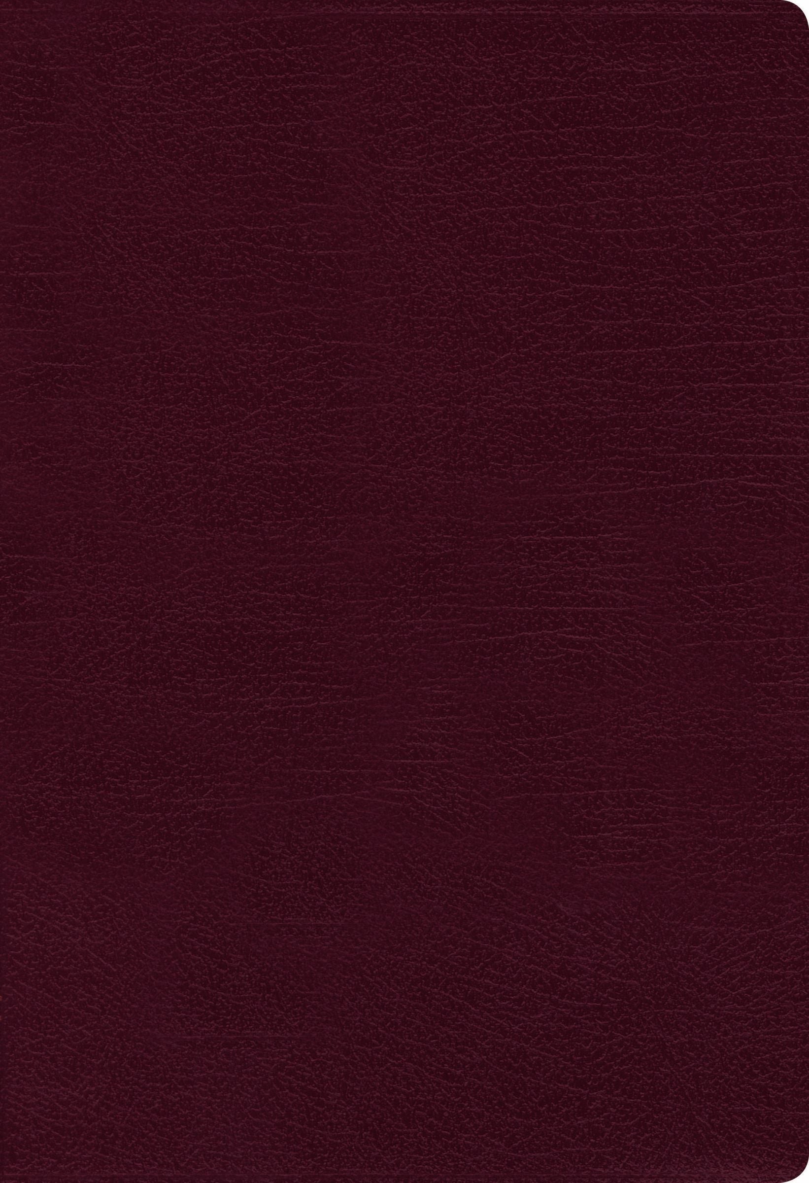 NIV Thinline Bible with red letter text, burgundy leather binding, trusted Bible translation