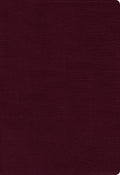 A burgundy indexed NIV Thinline Bible in red letter edition for spiritual guidance