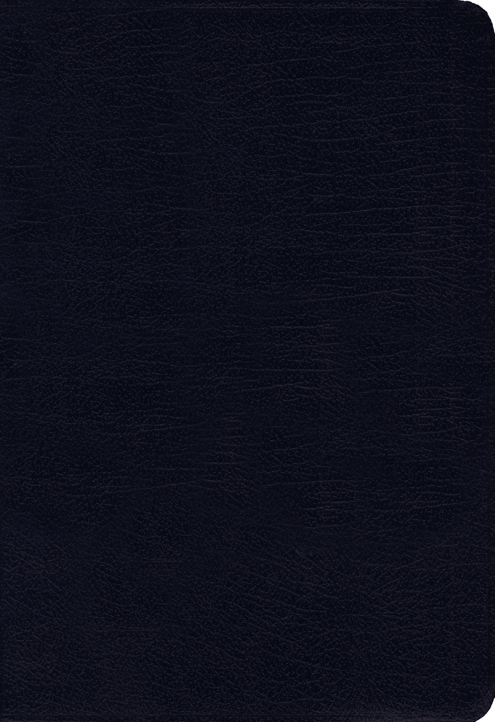 NIV Thinline Bible in Navy with Red Letter Edition for a compact and readable study experience.
