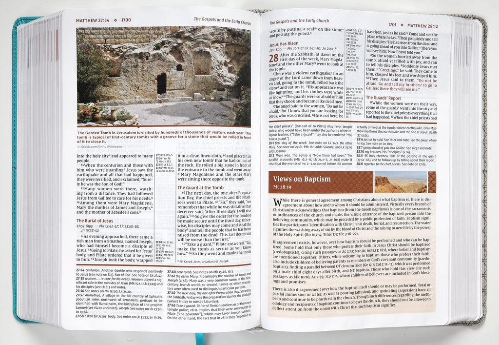 NIV Study Bible Teal/Gray (Red Letter Edition) Fully Revised Edition (2020)