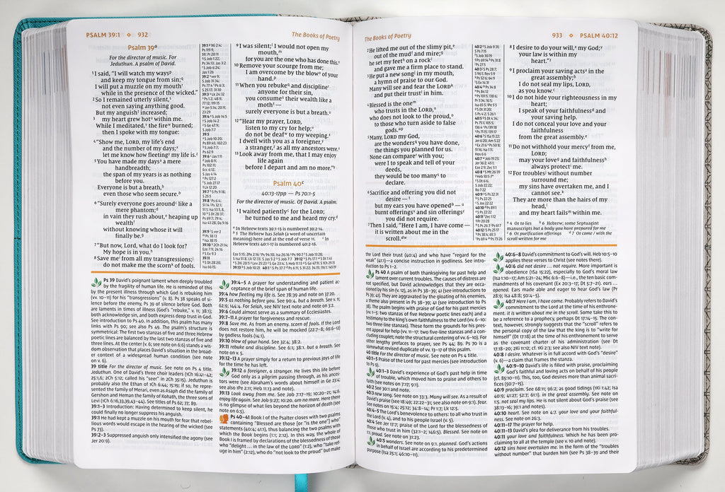 NIV Study Bible Teal/Gray (Red Letter Edition) Fully Revised Edition (2020)