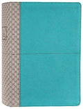 NIV Study Bible in teal and grey cover, fully revised edition with red letter text.