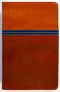 NIV Study Bible Personal Size Brown Blue Red Letter Edition