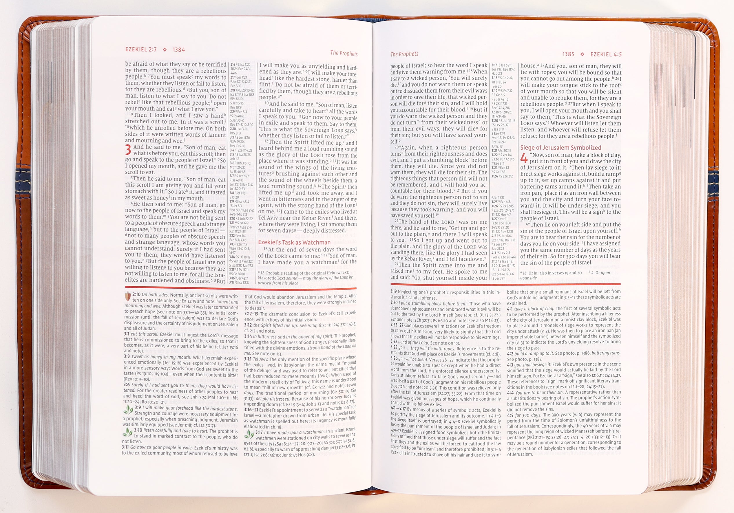 NIV Study Bible Personal Size Brown/Blue (Red Letter Edition) Fully Revised Edition (2020)