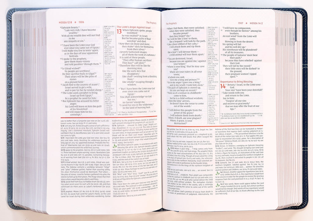NIV Study Bible Personal Size Navy Blue Red Letter Edition Bible