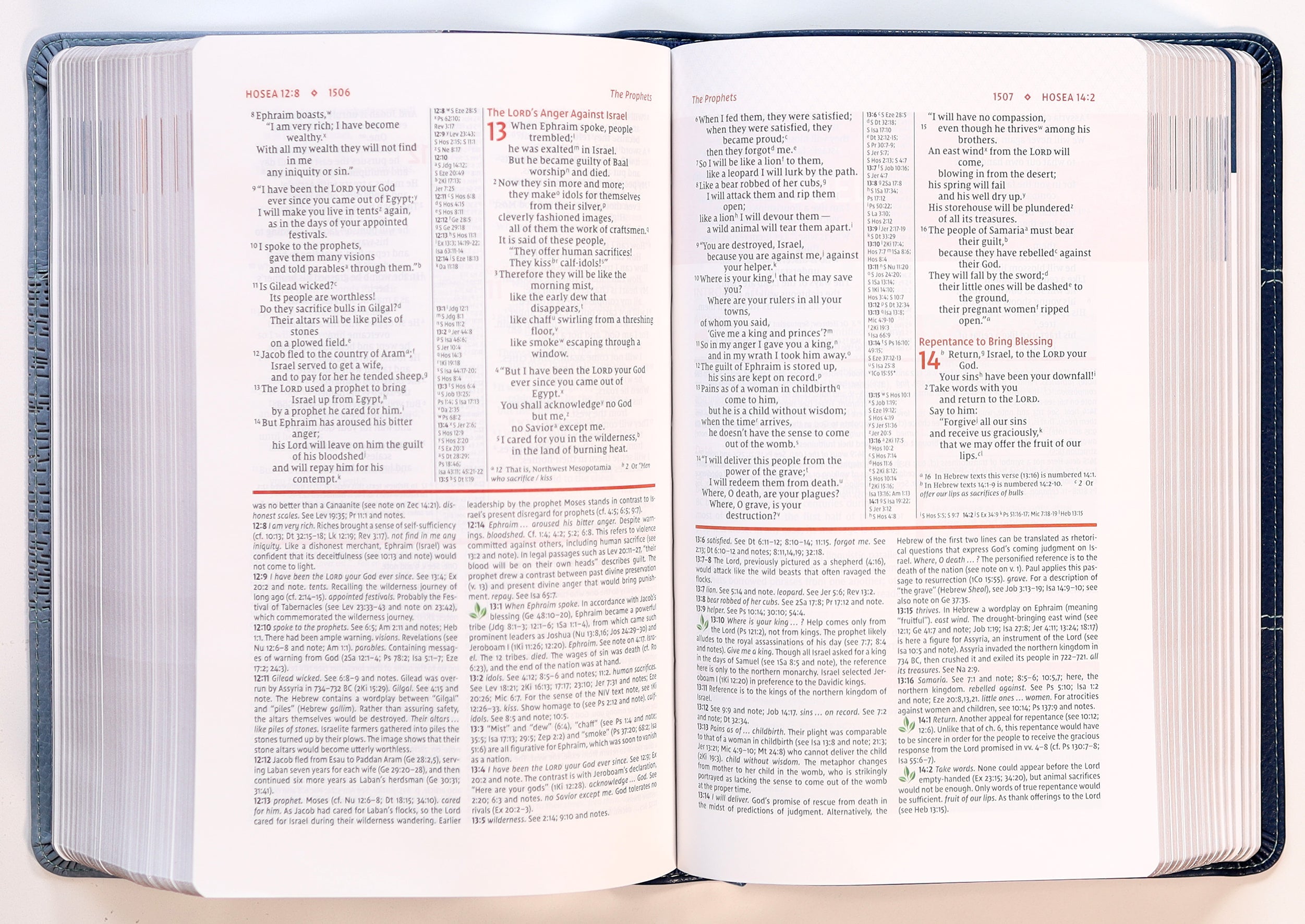 NIV Study Bible Personal Size Navy Blue Red Letter Edition Bible