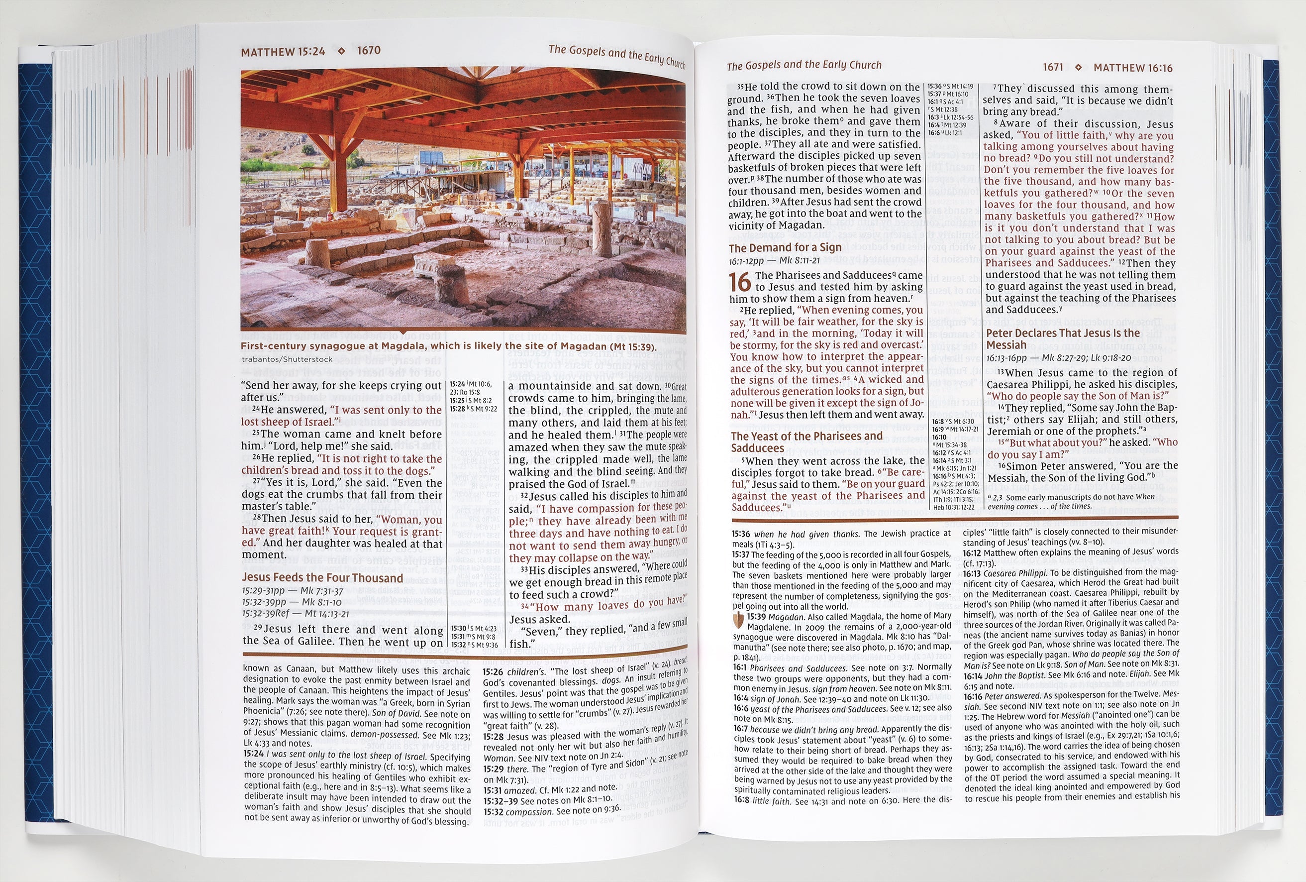 NIV Study Bible Large Print Edition Revised and Updated