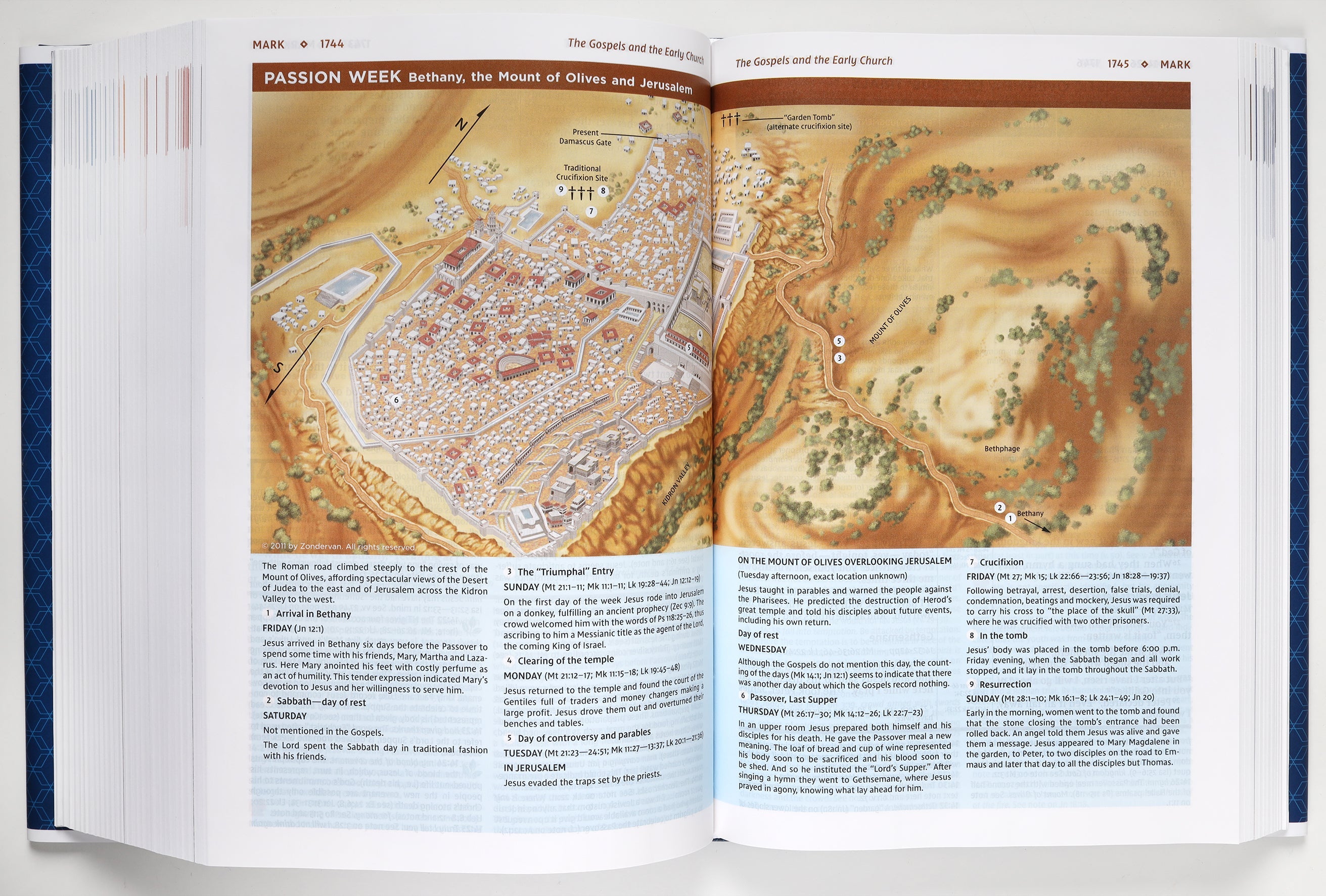 New International Version Study Bible in Large Print Format