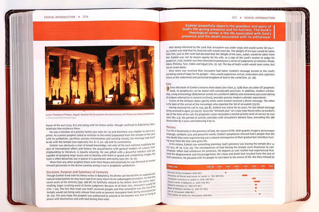 NIV Study Bible Large Print Brown Red Letter Edition open to scripture