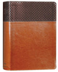 NIV Study Bible Large Print Red Letter Edition with Index and Revised 2020 Edition