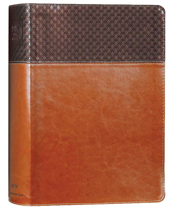 NIV Study Bible Large Print Red Letter Edition with Index and Revised 2020 Edition