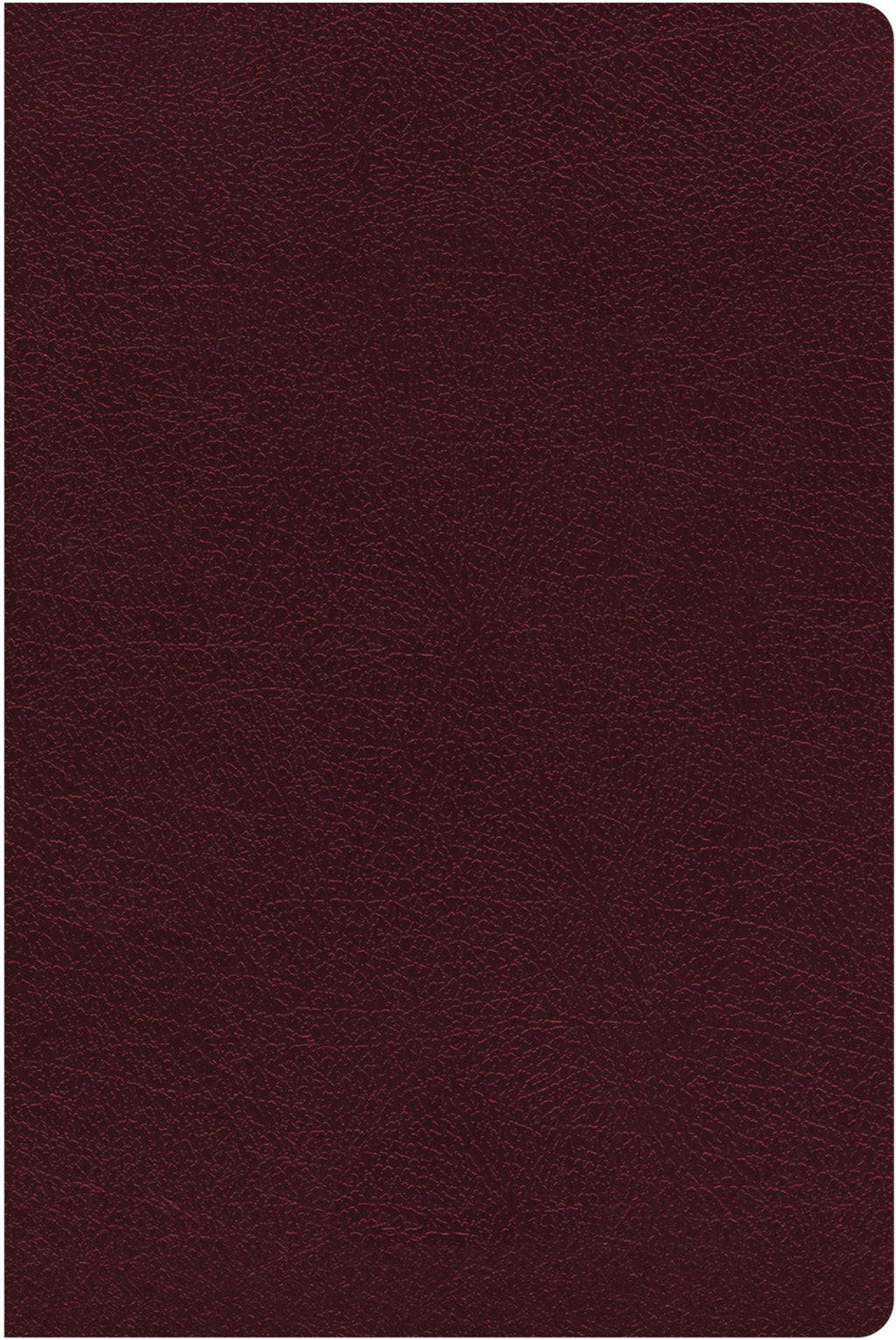 NIV Reference Bible, Giant Print, Red Letter, Indexed Edition, Close-up