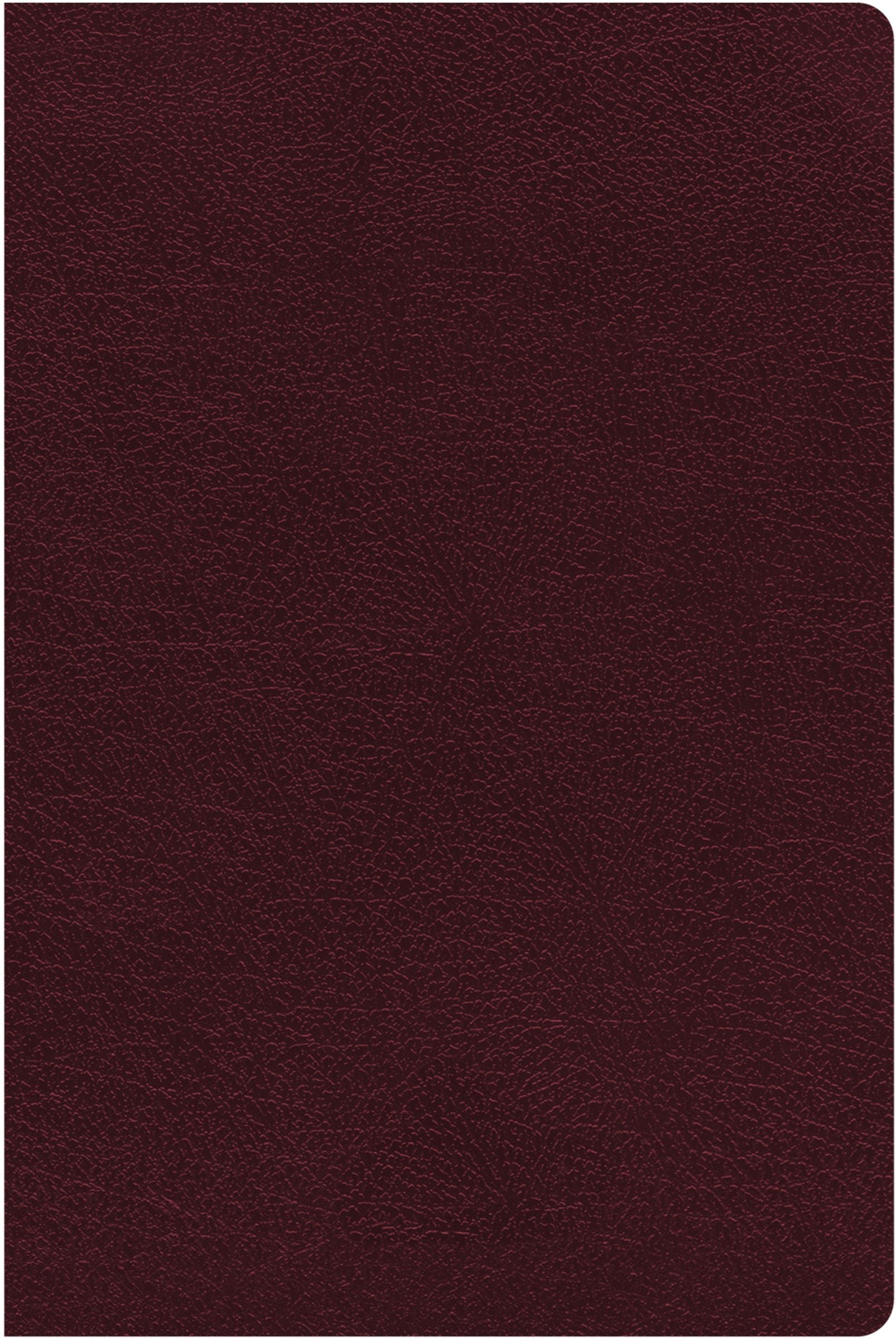 NIV Burgundy Thinline Reference Bible, Red Letter Edition, in a slim and compact design.