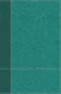 NIV Personal Size Reference Bible Large Print Blue Indexed (Red Letter Edition)
