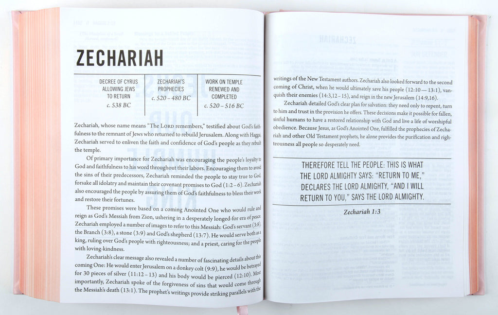 NIV the Jesus Bible Pink Comfort Print Edition Black Letter Bible Pages