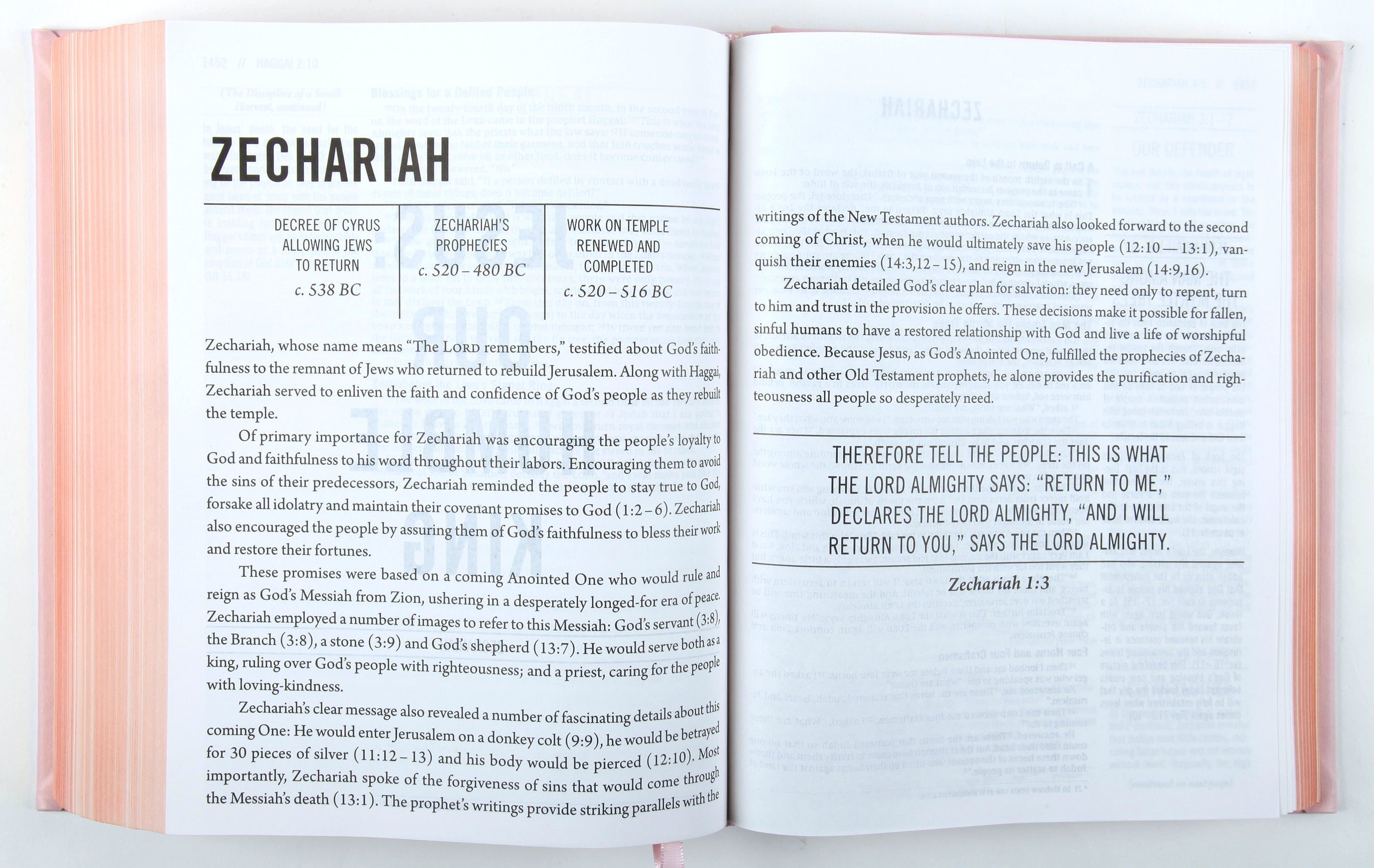 NIV the Jesus Bible Pink Comfort Print Edition Black Letter Bible Pages