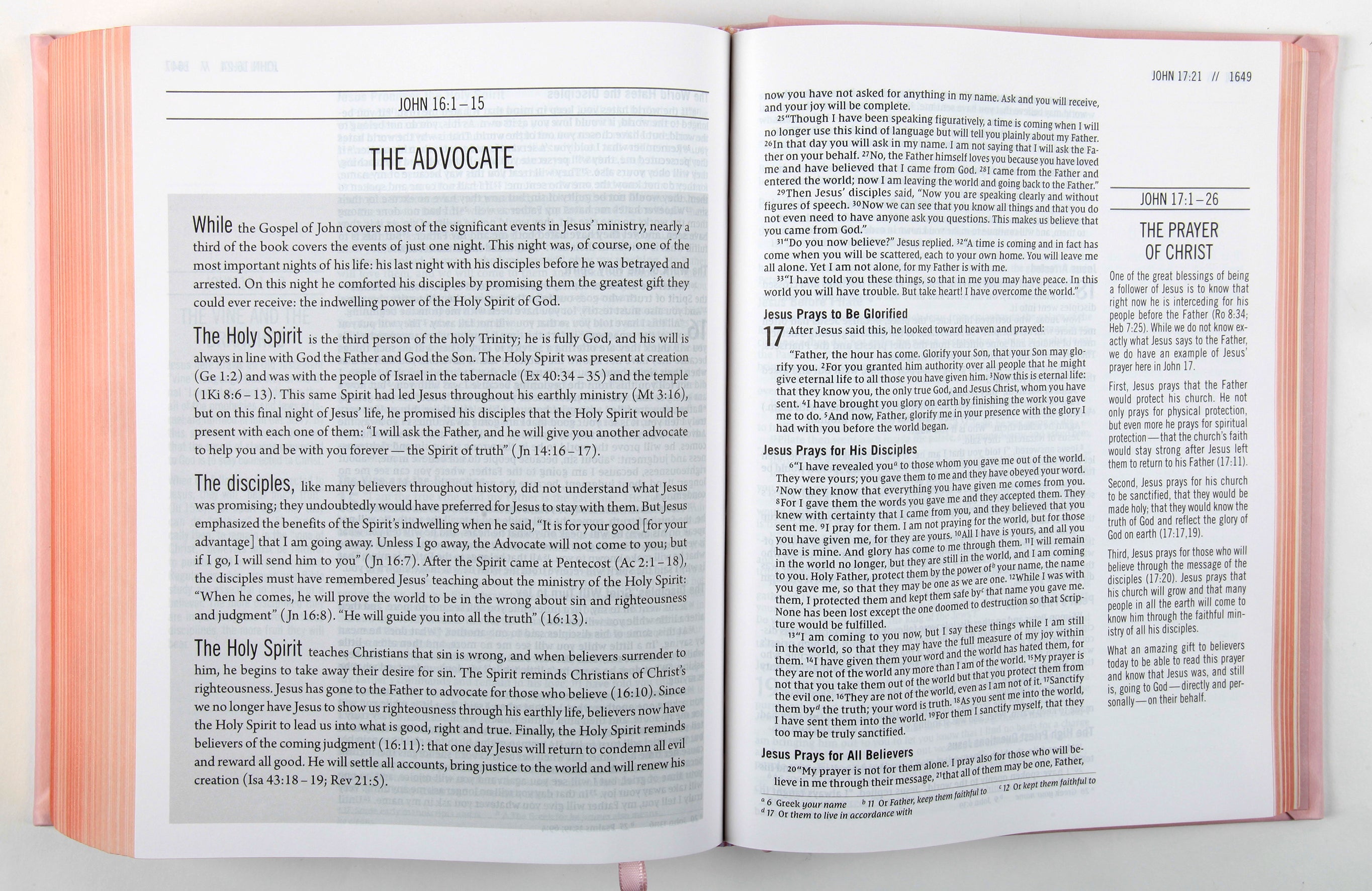 NIV the Jesus Bible Pink Comfort Print Edition (Black Letter Edition)