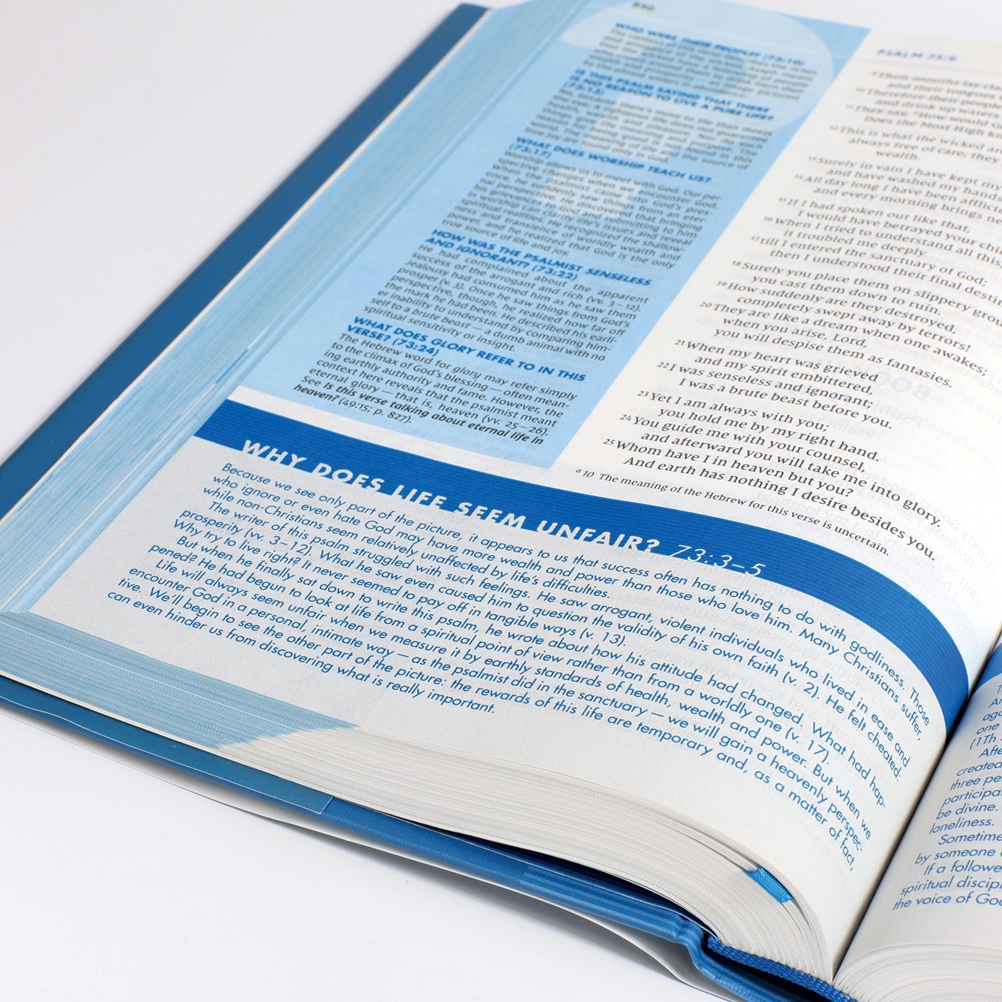 In-depth study Bible features NIV translation and black letter text