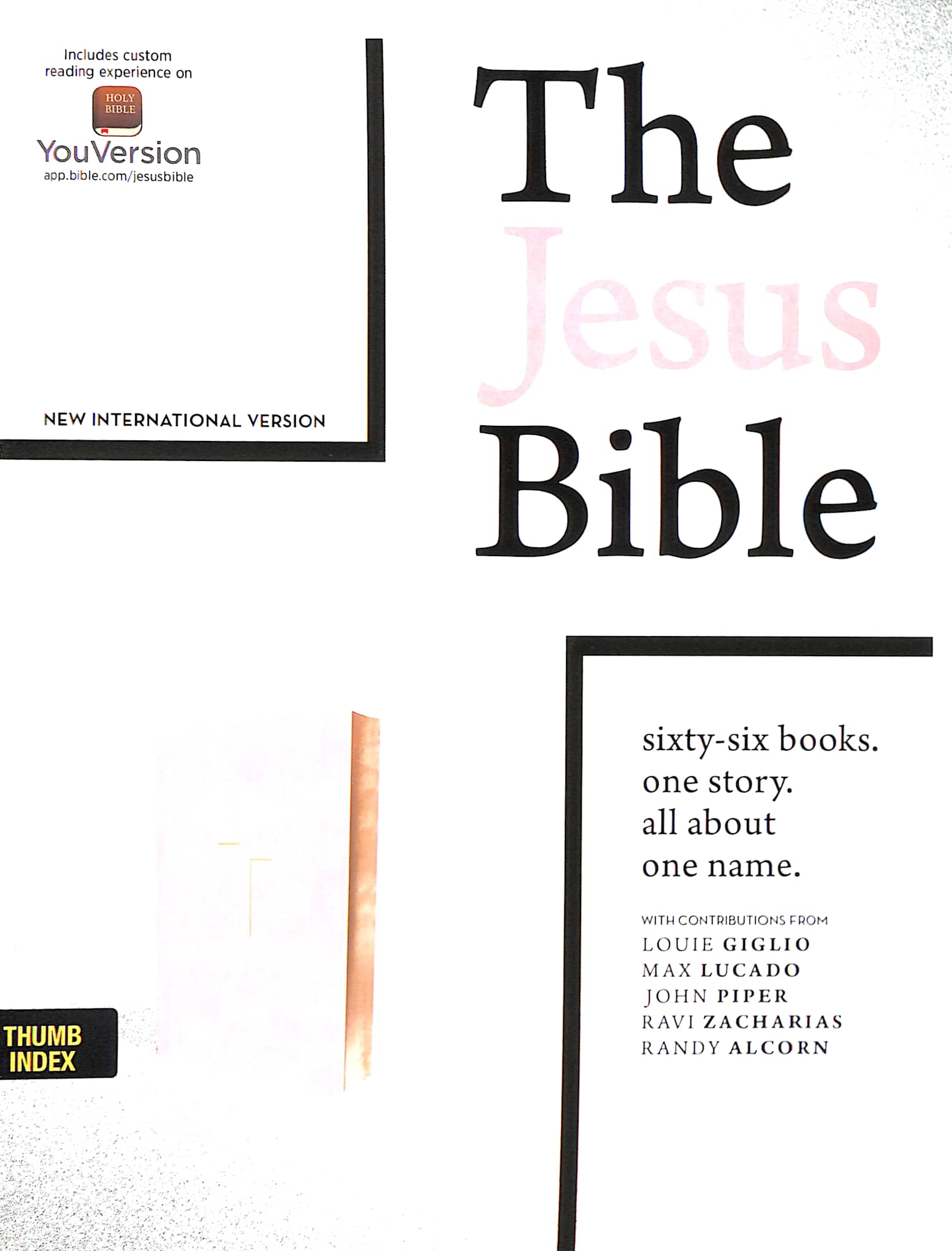 NIV the Jesus Bible Indexed Pink leather edition