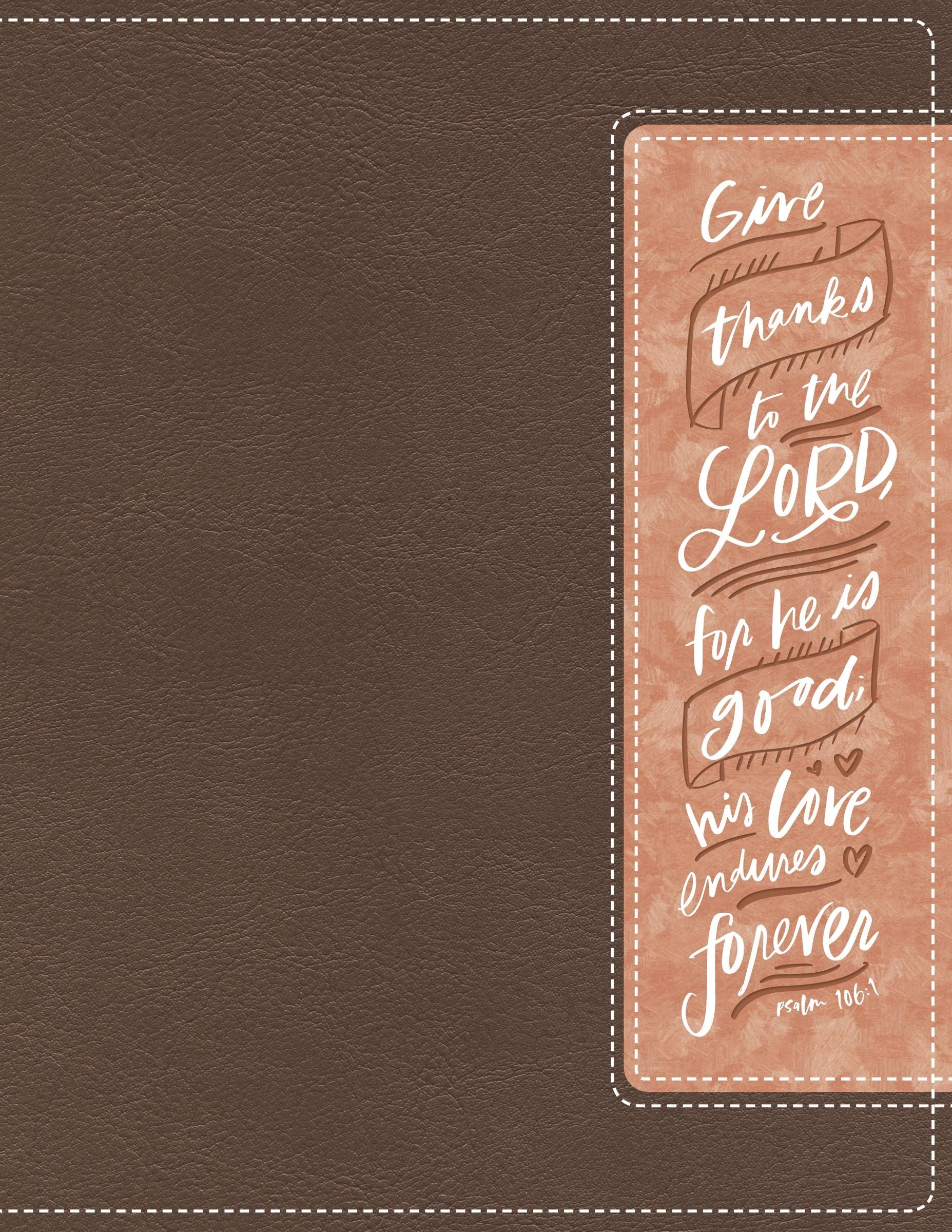 NIV Beautiful Word Bible with journaling margins and peel stick Bible tabs in brown and pink for personal reflection.