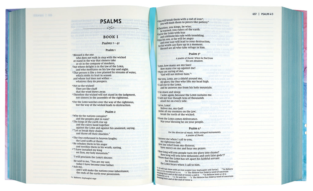 Open multi-color NIV Bible with red letter edition and bookmark