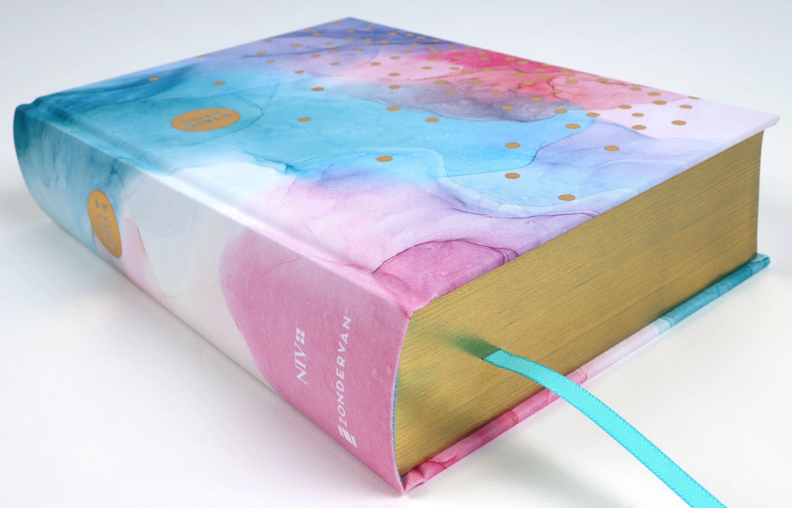 Girl studying with multi-color NIV Bible and red letter edition