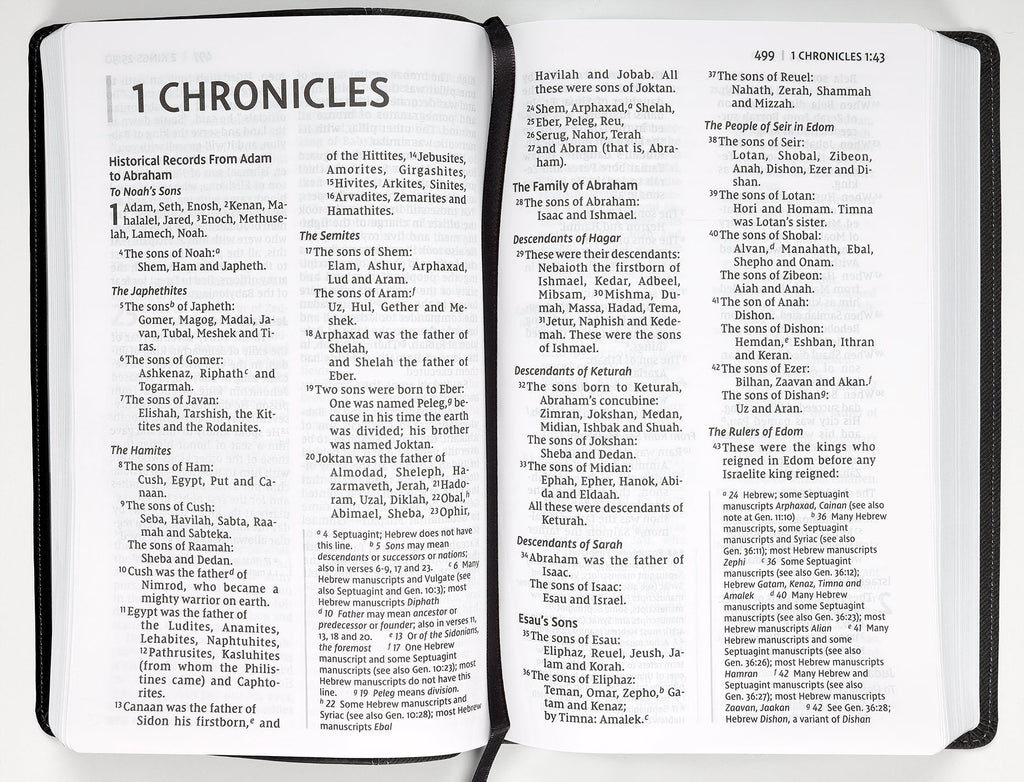 NIV large print black Bible red letter edition personal size
